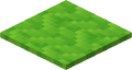 Lime Carpet