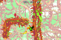 Squawks finds the golden feather of Screech's Sprint in Donkey Kong Country 2 for Game Boy Advance
