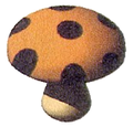 Bad Mushroom
