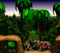 Donkey Kong Country