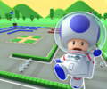 The course icon with Toad (Astronaut)