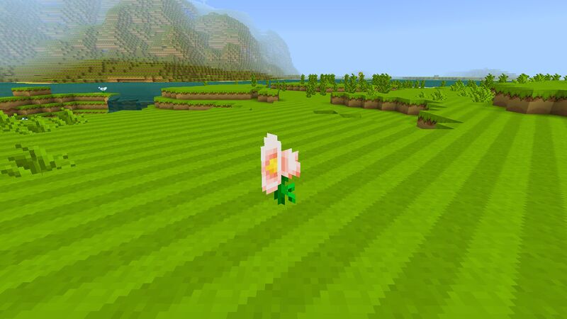 File:Minecraft Mario Mash-Up Rocket Flower.jpg