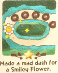 "Made a mad dash for a Smiley Flower." discovery from Bafloonder Habitat in Yoshi and the Mysterious Book