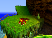 A 5-Banana Coin on DK Isles.