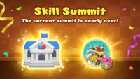 End of the thirteenth Skill Summit
