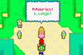 Princess Peach speaks, although Mario and Luigi believed that her voice had been stolen.