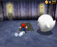 Go on a Ghost Hunt from Super Mario 64 DS