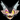 Void Kong