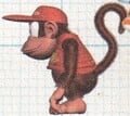 Diddy Kong Racing