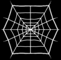a web.