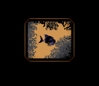 DKC3 glitched Gleamin' Bream photo.png