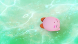 Kirby sleeping.