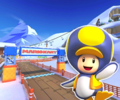 The course icon with Penguin Toad