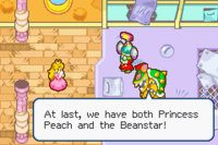 Bowletta and Fawful believe that they have captured Princess Peach.