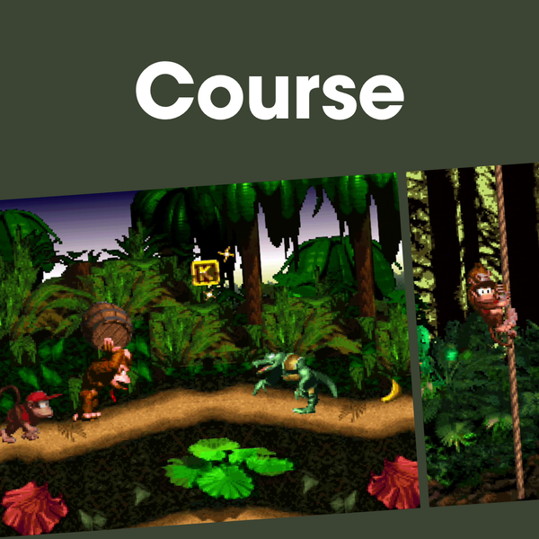 File:NM DKC Levels PL JP.png