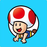 PN Mushroom Kingdom Memory Match-Up Game Toad.jpg