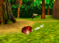 Donkey Kong performing a Barrel Roll in Donkey Kong 64.