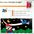 "How does a bat hunt at night?"
