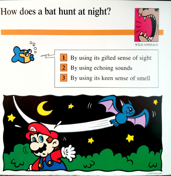 File:Bat quiz card.png