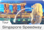 Tour Singapore Speedway