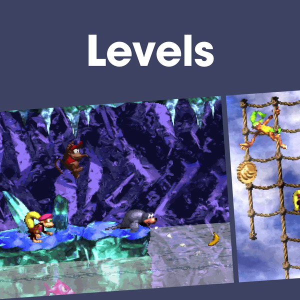 File:NM DKC2 Levels PL.png