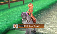 Pink Gold Peach riding on a horse in Beginner/Intermediate difficulty from Mario Sports Superstars
