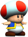 Toad