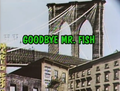 Title card