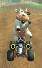 Cow performing a trick.
