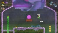 The second 10-flower coin in Beware of the Rifts in Super Mario Bros. Wonder