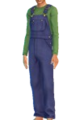 Luigi's overalls