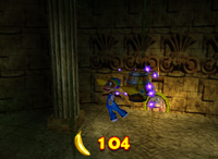 A Bonus Barrel for Tiny Kong on DK Isles.