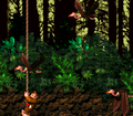 Donkey Kong encounters many Neckies. The barrel to the first Bonus Level is hidden below.