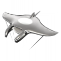 Silver Manta Glider