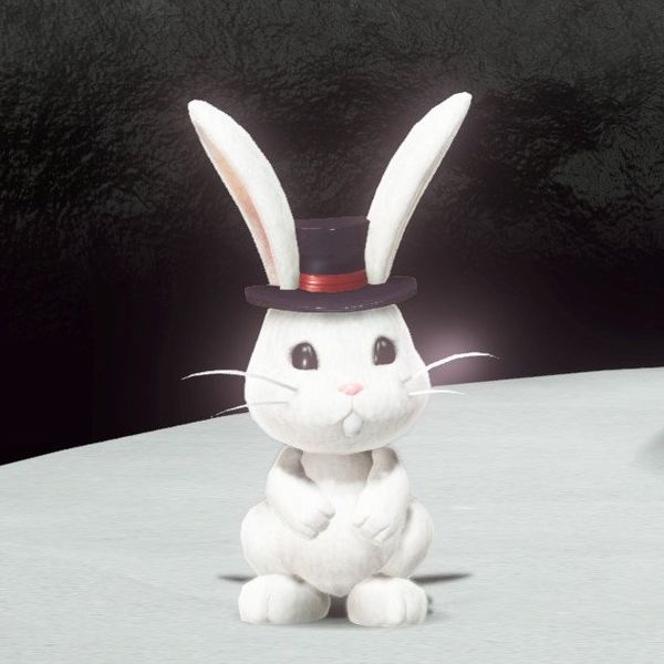 File:SMO - Moonland Bunny Top.jpeg