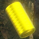 Coin roll