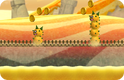 Pokey Vaulting