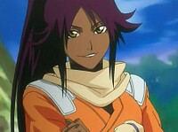 Bleach yoruichi 1173741375.jpg