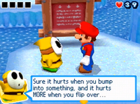 Mario talking to a Yellow Shy Guy