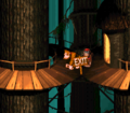 The Kongs stand near the exit sign of the level's end