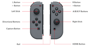 Nintendo Switch Joy-Con diagram.