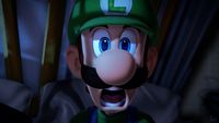 Luigi after being awoken by Princess Peach's scream