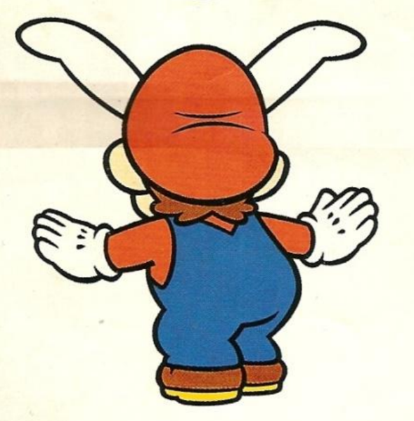 File:SML2 Back View Rabbit Mario.png