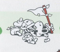 2D artwork of a defeated Dry Bones