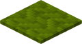 Green Carpet