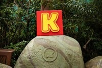 A KONG Letter in Donkey Kong Country at Super Nintendo World