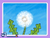 Make a Wish