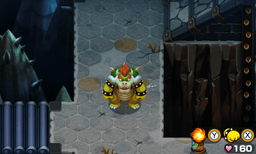 Bowser Path