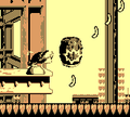 Donkey Kong uses a button to aim the Barrel Cannon down to the first Bonus Area