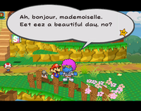 Talking to Dupree in Petalburg in Paper Mario: The Thousand-Year Door